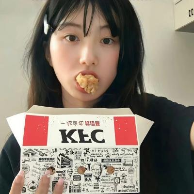 完美计划