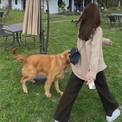 神鹰之拳